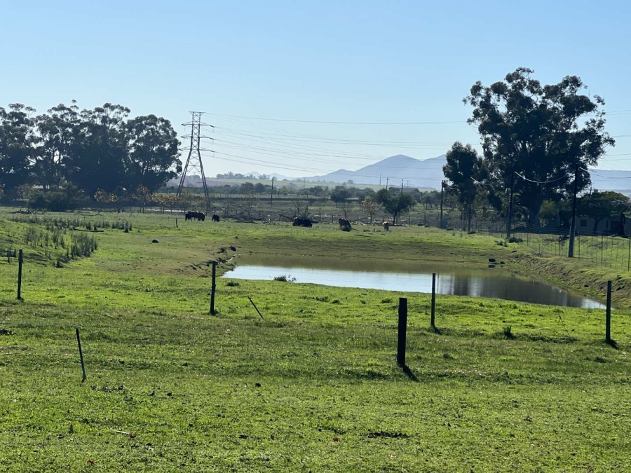 10 Bedroom Property for Sale in Koelenhof Western Cape